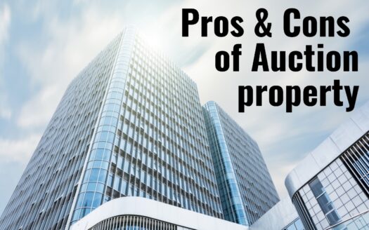 pros and cons of auction property