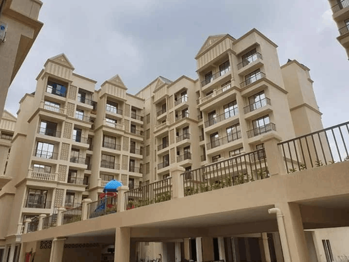 video image