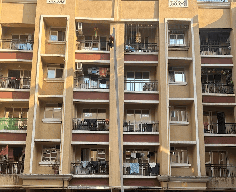video image