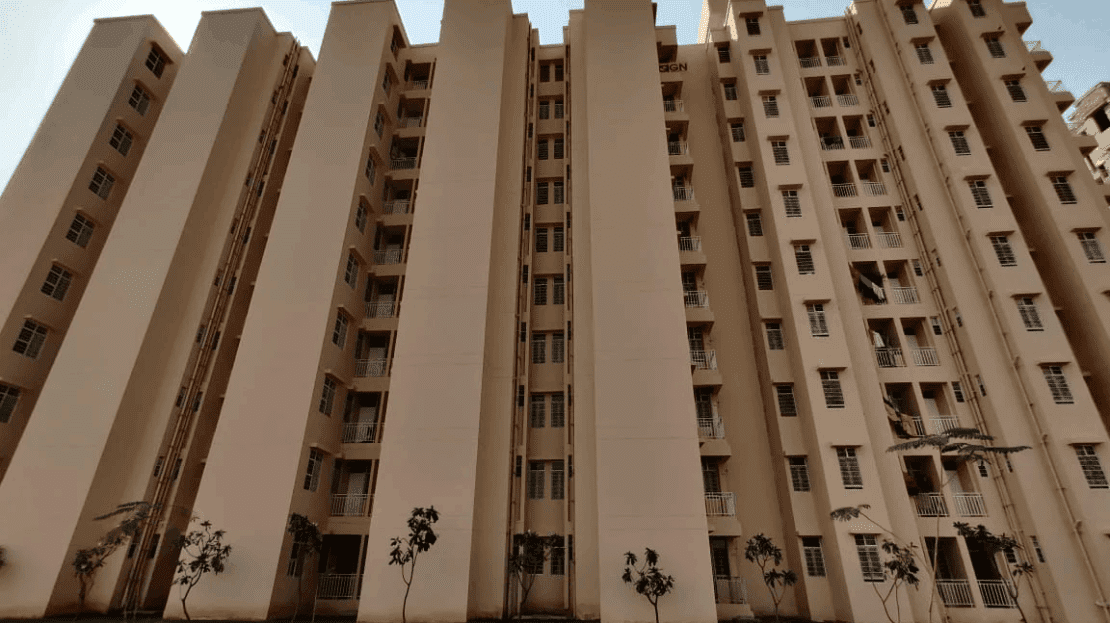 video image