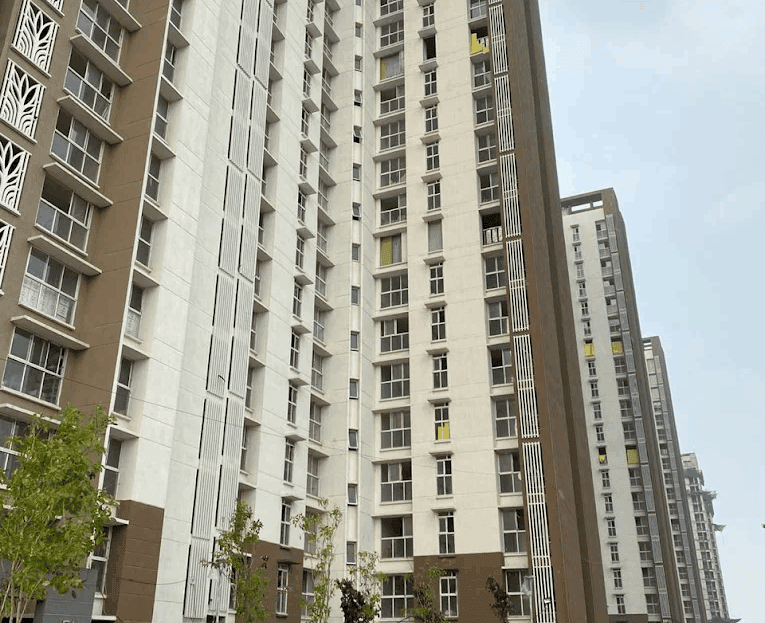 video image