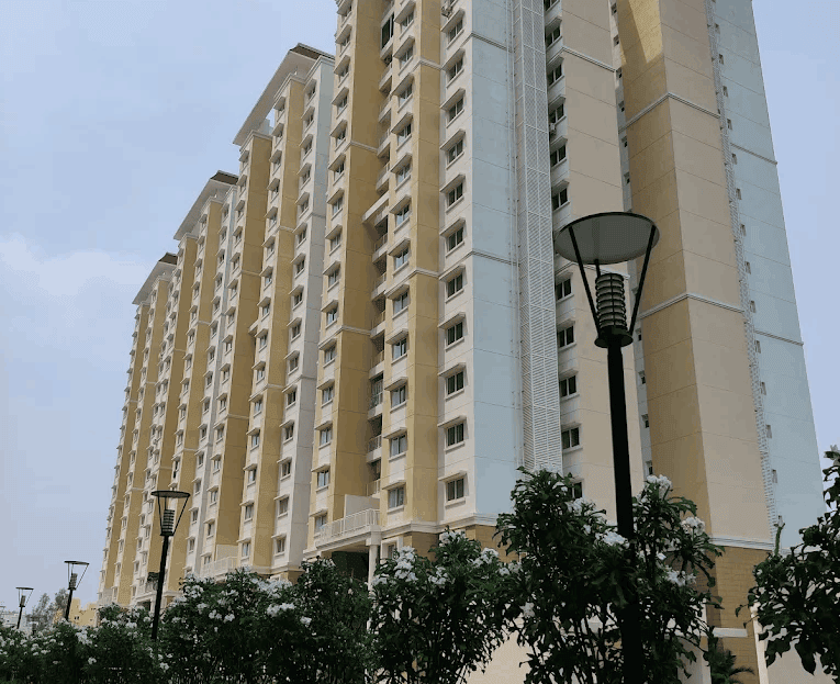 video image