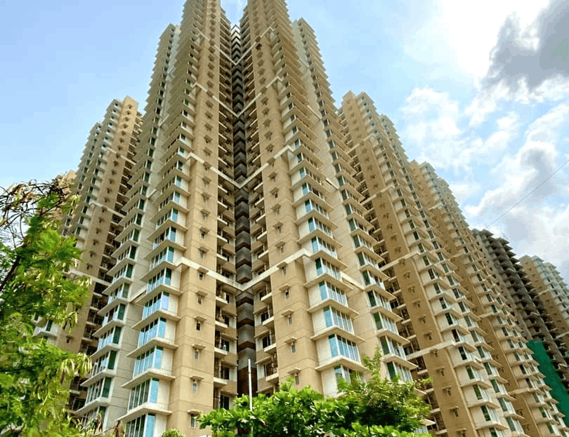video image