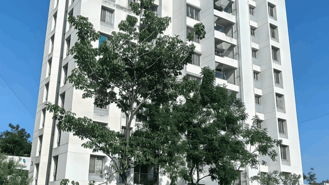 video image