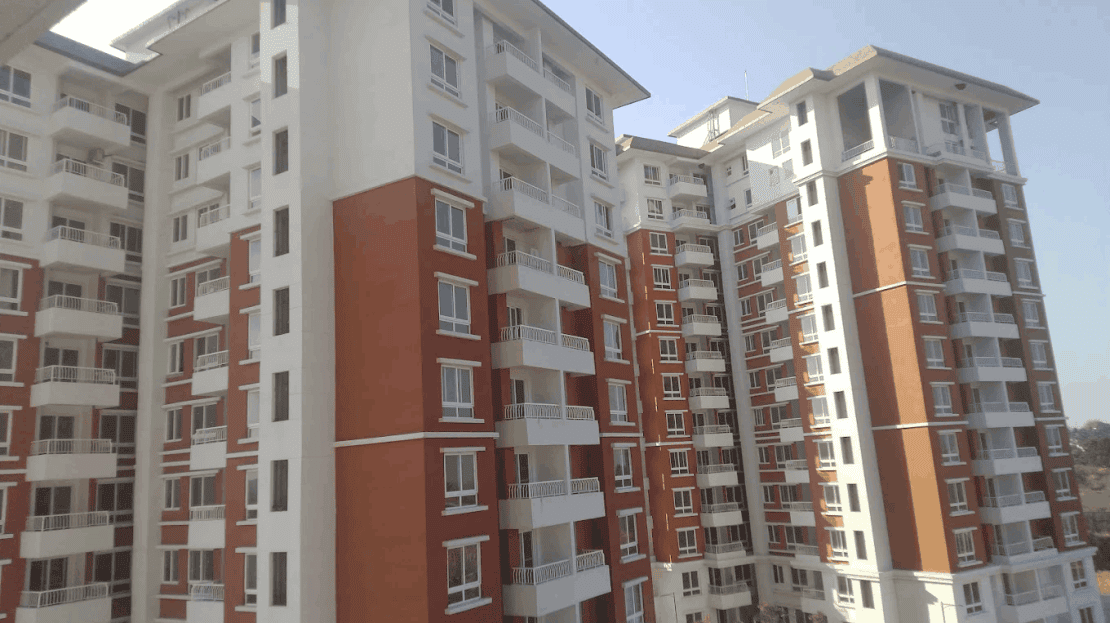 video image