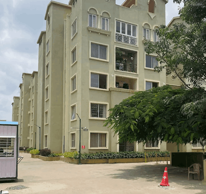 video image