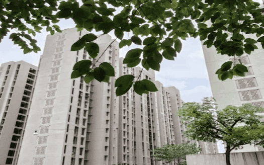 1 BHK Flat | Thane | Lodha Palava Downtown