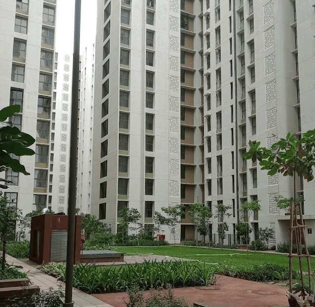 video image