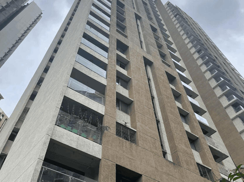 video image
