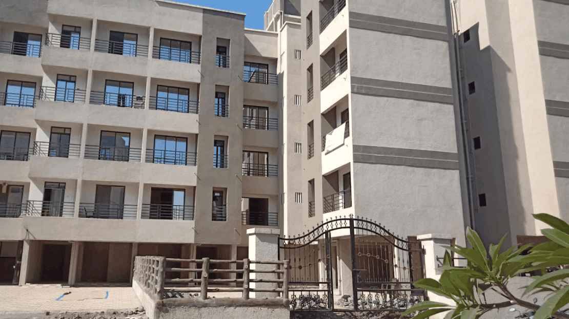 video image