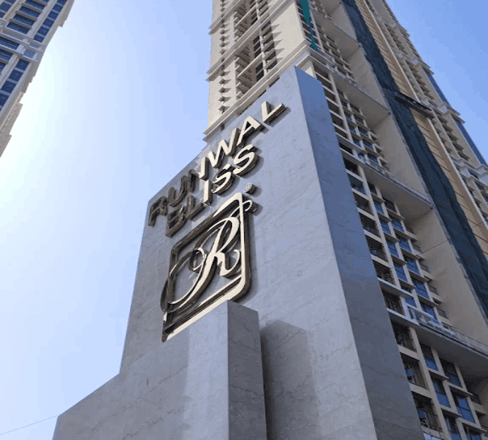 video image