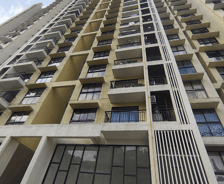 video image