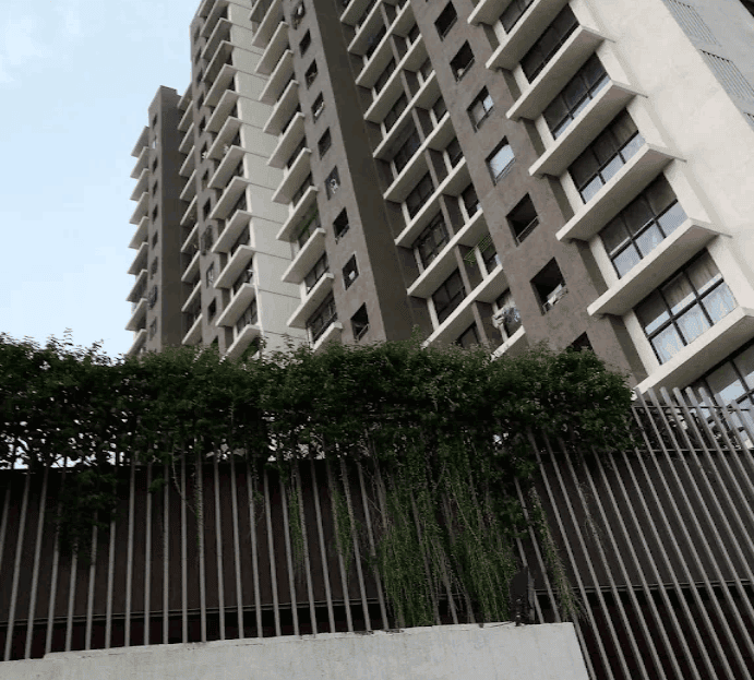 video image