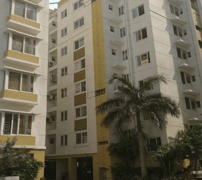 video image