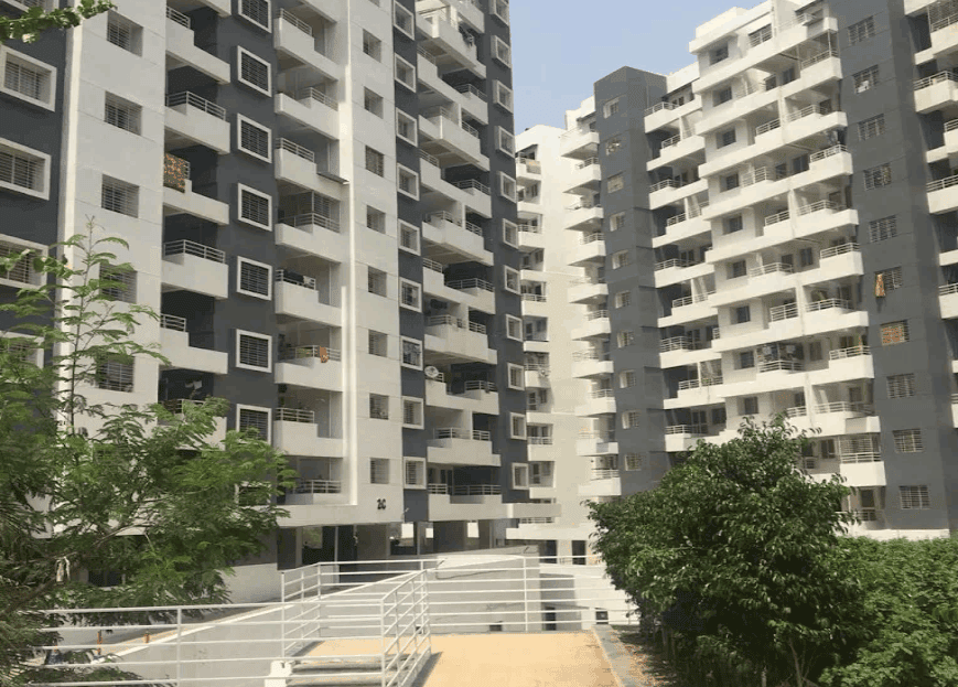 video image