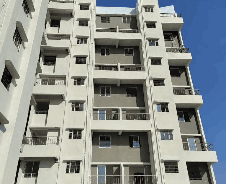 video image
