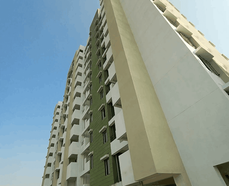 video image