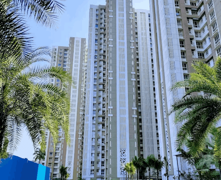 video image