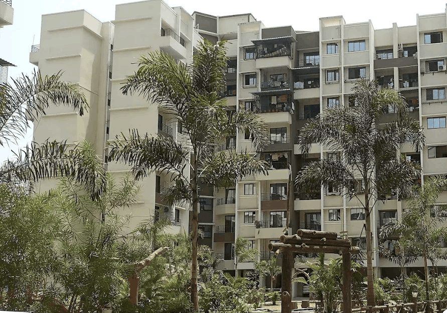 video image