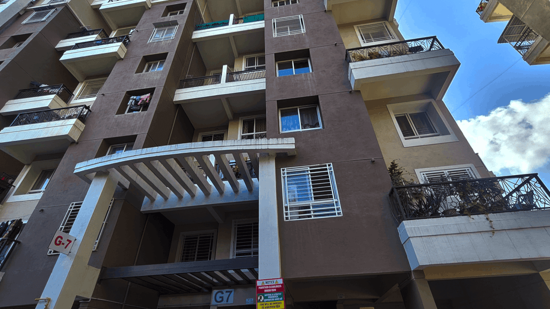 video image