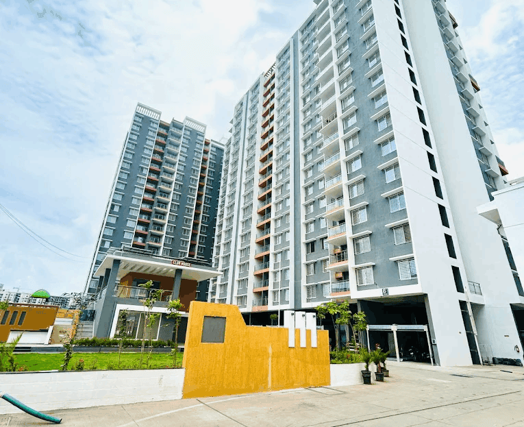 video image