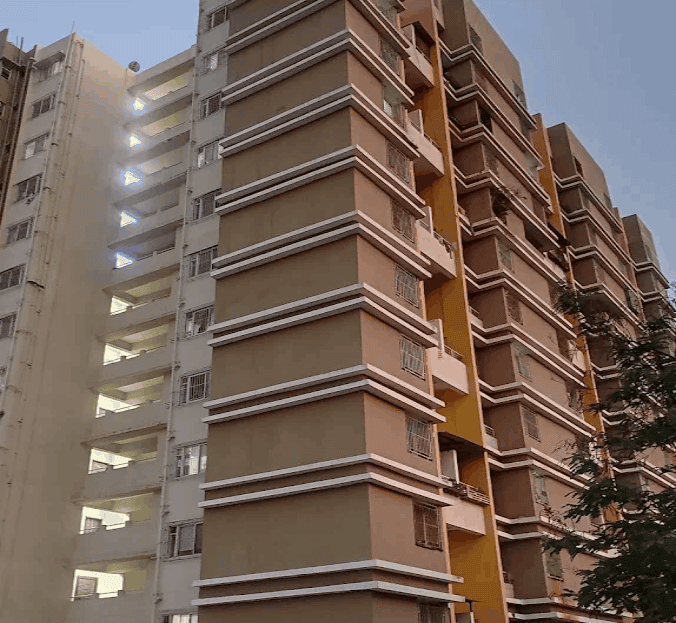 video image