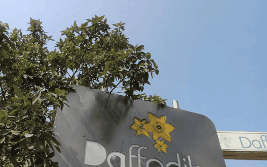 1 BHK Flat | Pune | Daffodils Avenue
